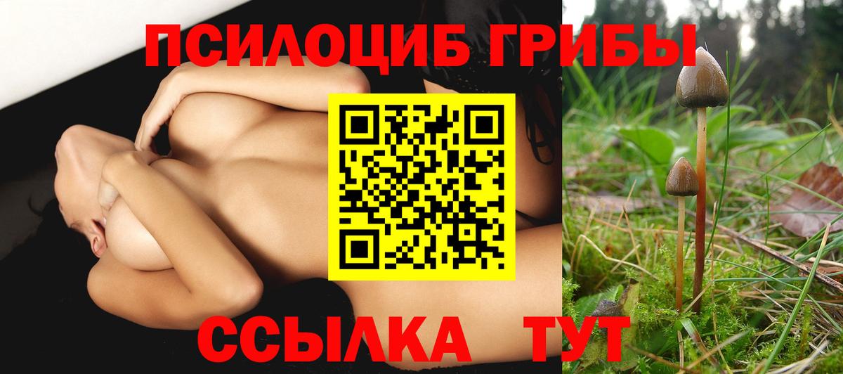 Чайковский  Псилоцибиновые грибы GOLDEN TEACHER  Псилоцибиновые грибы Magic Shrooms  Вход с VPN 
